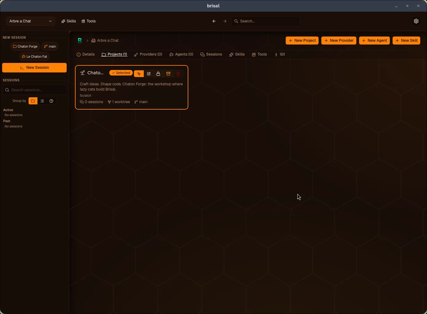 A project card on a workspace's Projects tab: the project name beside a Selected badge, a row of action icons (select, edit, lock, archive, delete), the description, a Scratch source label, and counts of 0 sessions and 1 worktree.
