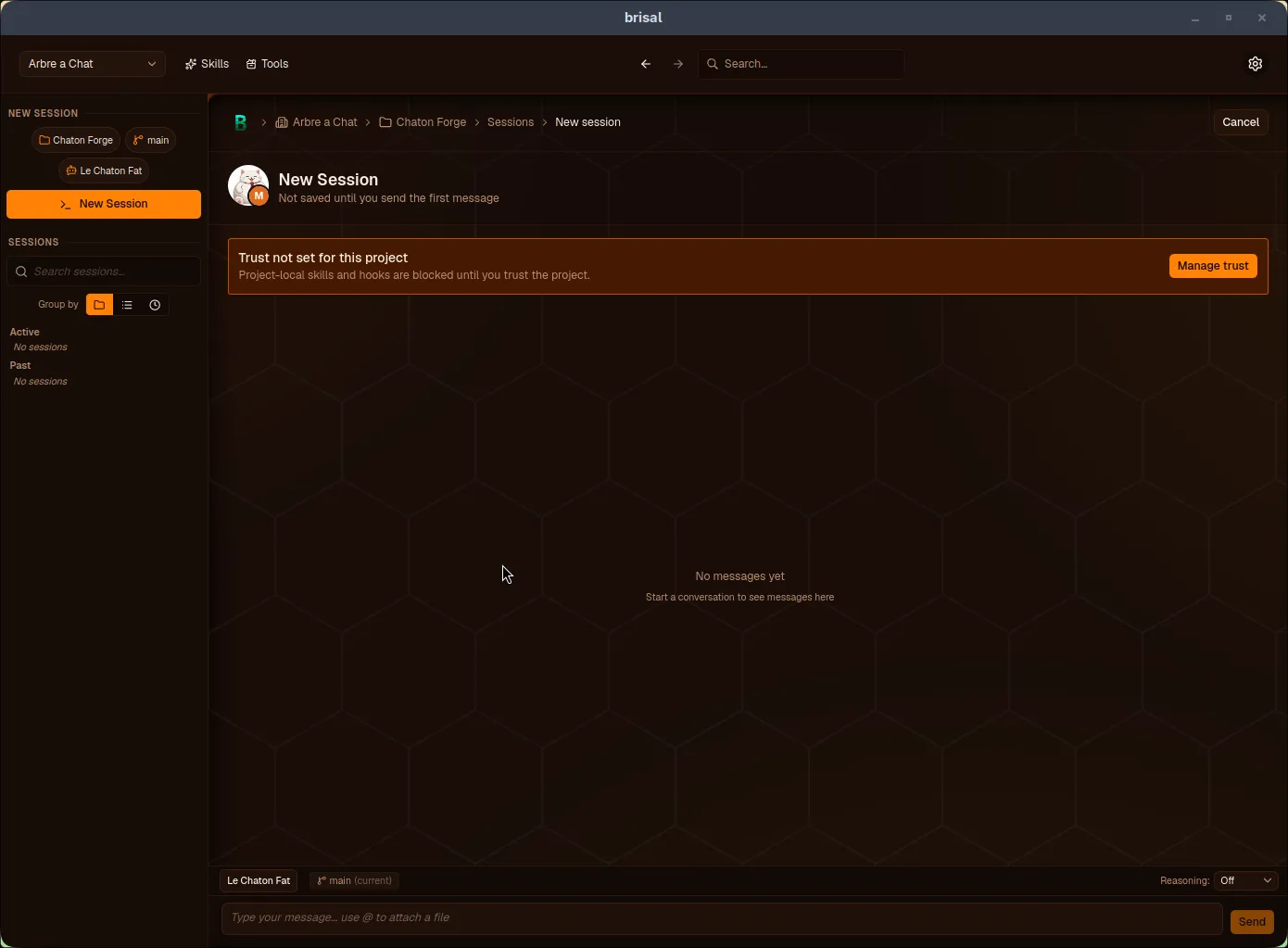 Brisal's New Session view. An amber banner reads "Trust not set for this project — Project-local skills and hooks are blocked until you trust the project," with a "Manage trust" button on the right. Below it the empty session transcript reads "No messages yet."
