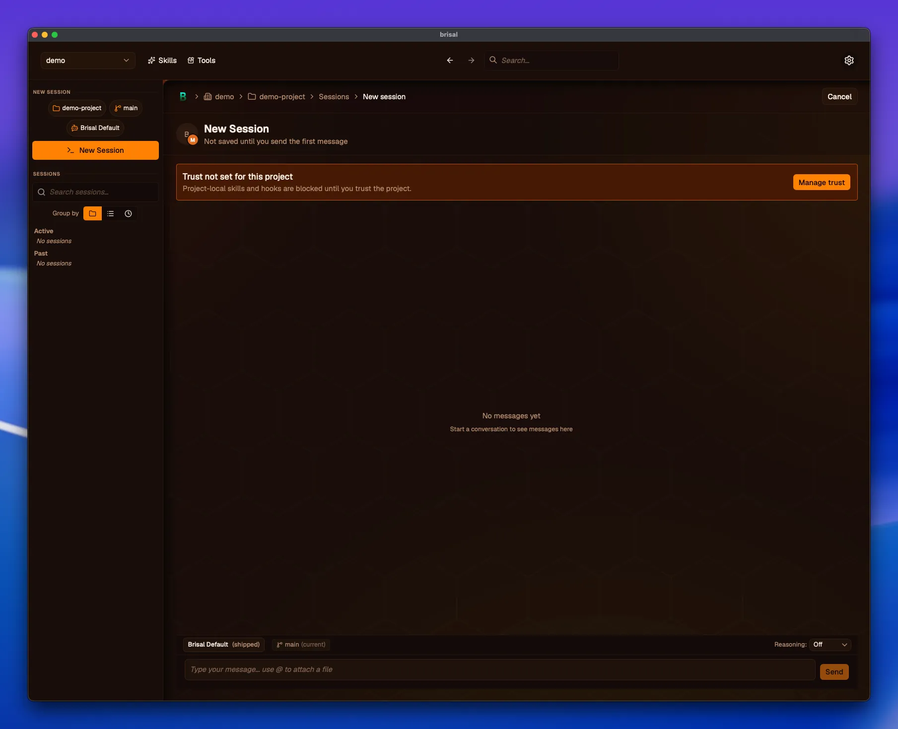 Brisal's New Session view. An amber banner reads "Trust not set for this project — Project-local skills and hooks are blocked until you trust the project," with a "Manage trust" button on the right. Below it the empty session transcript reads "No messages yet."
