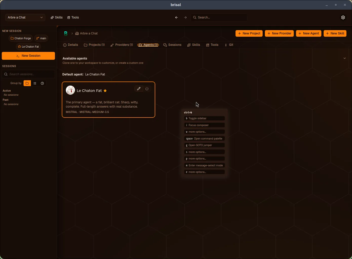 The which-key menu, a floating card that appears after pressing the leader. Its header reads "ctrl+b"; below it, each next key is listed with what it does: "b Toggle sidebar", "i Focus composer", "w more options…", "space Open command palette", "g Open GOTO jumper", "s more options…", "p more options…", and "m Enter message-select mode". Keys that only continue a longer sequence show "more options…".